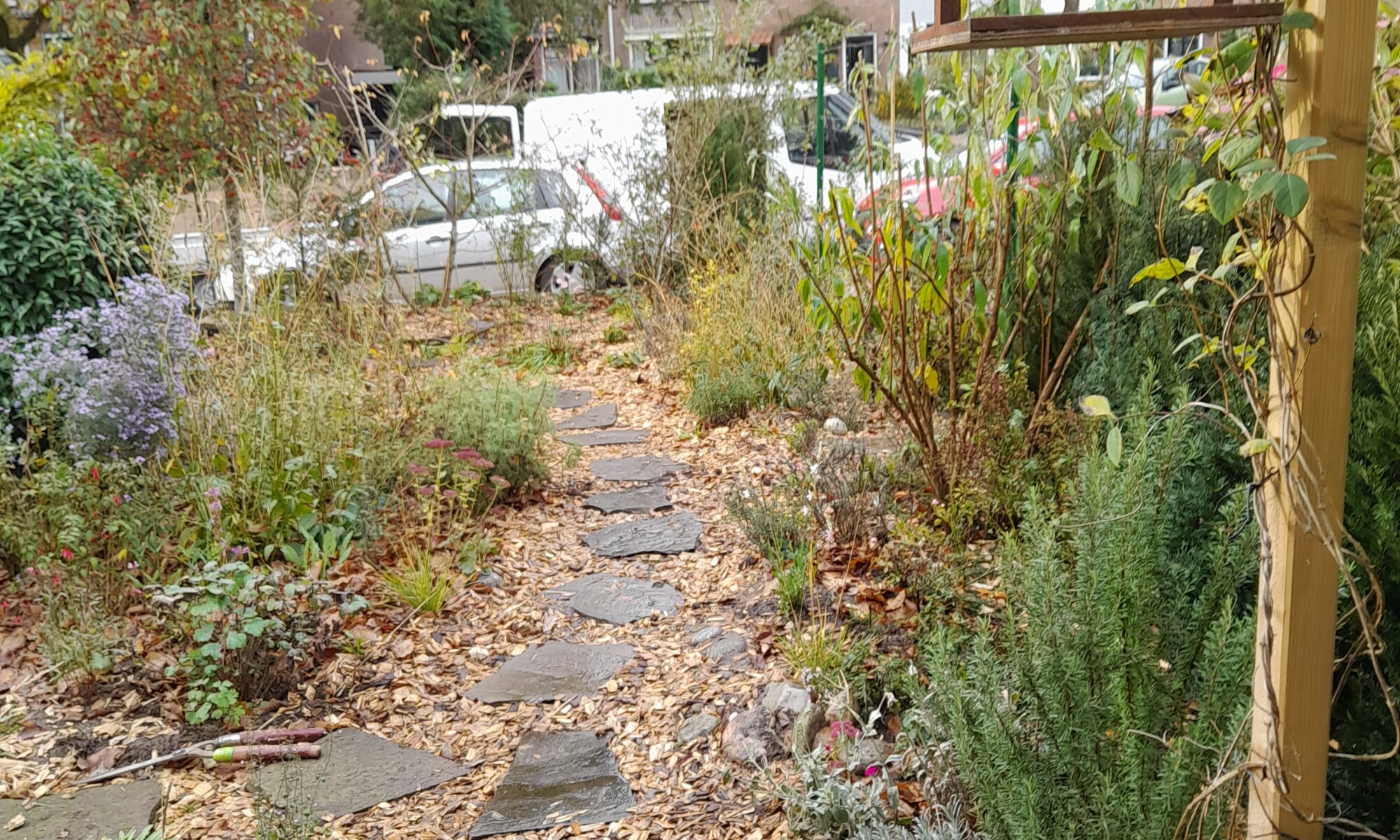 strooisellaag mulch onderhoudsarm doorn tuinontwerper amersfoort tuinonderhoud tiunrenovatie hovenier hoveniersbedrijf ecologisch ecologische tuin