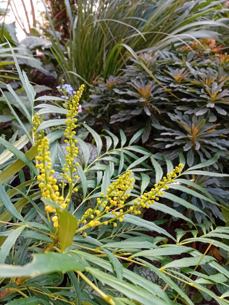 circulaire biodiverse stadstuin in utrecht ontwerp en aanleg hoveniersbedrijf een tuin van jerry amersfoort