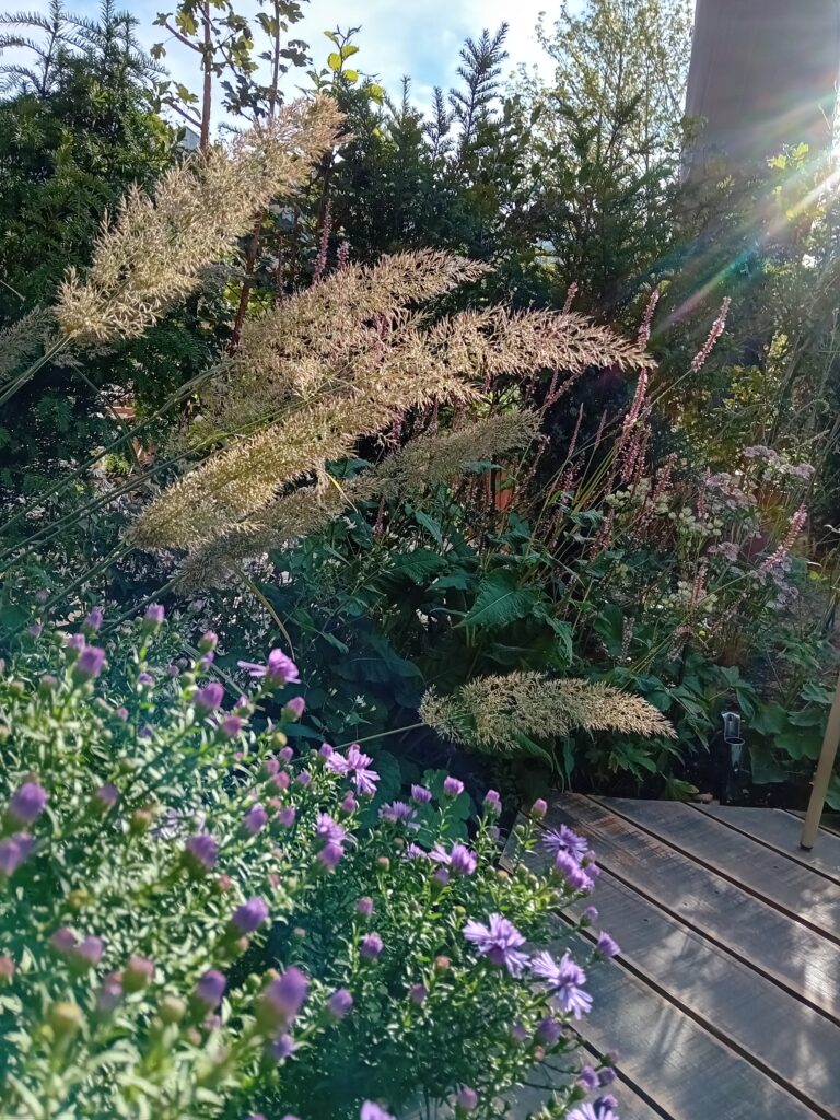 circulaire biodiverse stadstuin in utrecht ontwerp en aanleg hoveniersbedrijf een tuin van jerry amersfoort