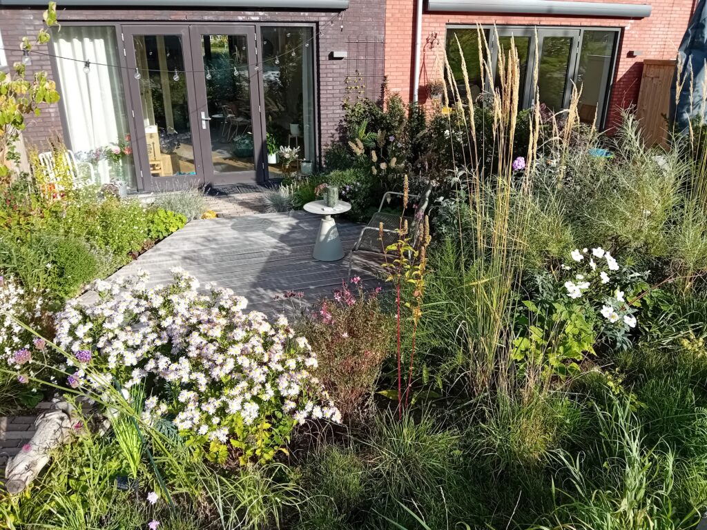 weelderige natuurlijke circulaire biodiverse stadstuin in utrecht ontwerp en aanleg hoveniersbedrijf een tuin van jerry amersfoort
