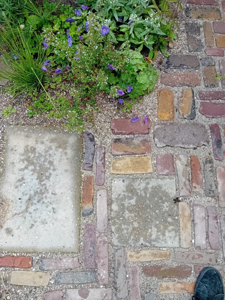 circulaire klimaatbestendige stadstuin in amersfoort. ontwerp en aanleg door ecologisch en duurzaam hoveniersbedrijf een tuin van jerry uit amersfoort
