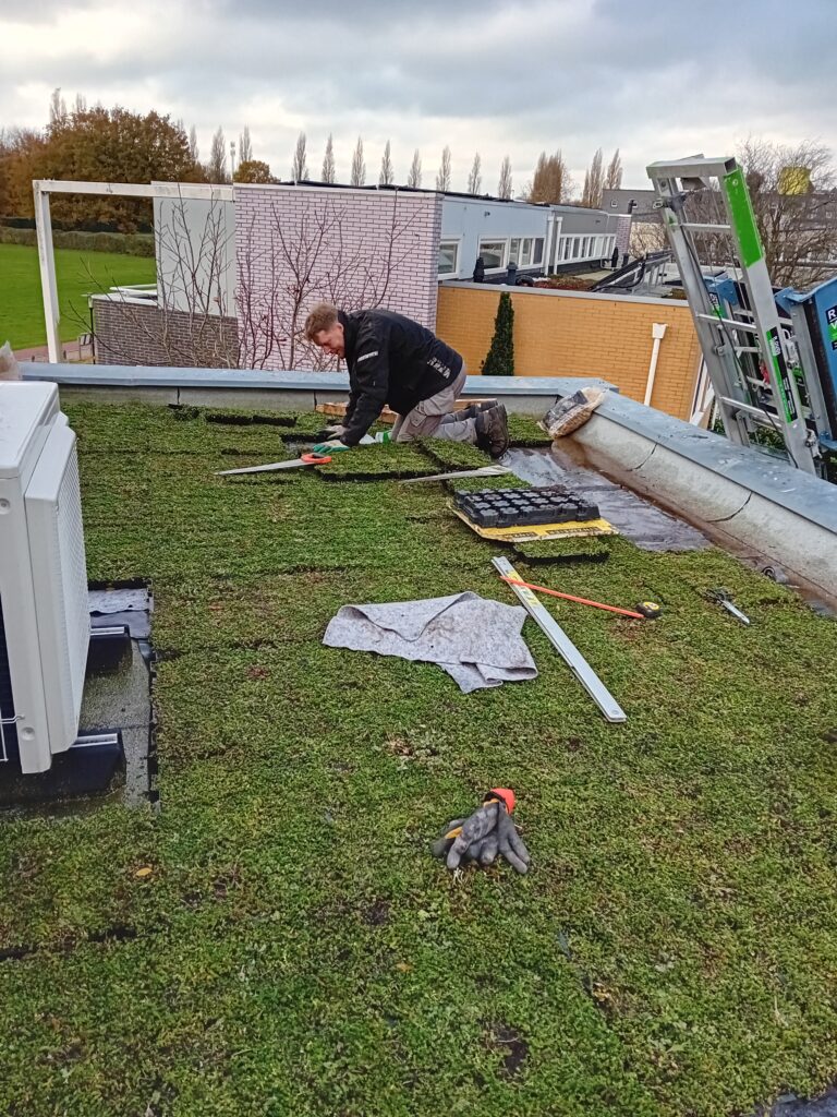 aanleggen van een groendak met een subsidieregeling in amersfoort
