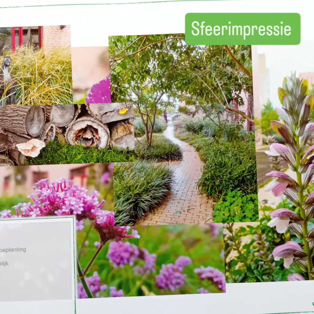 sfeerimpressie van de tuin